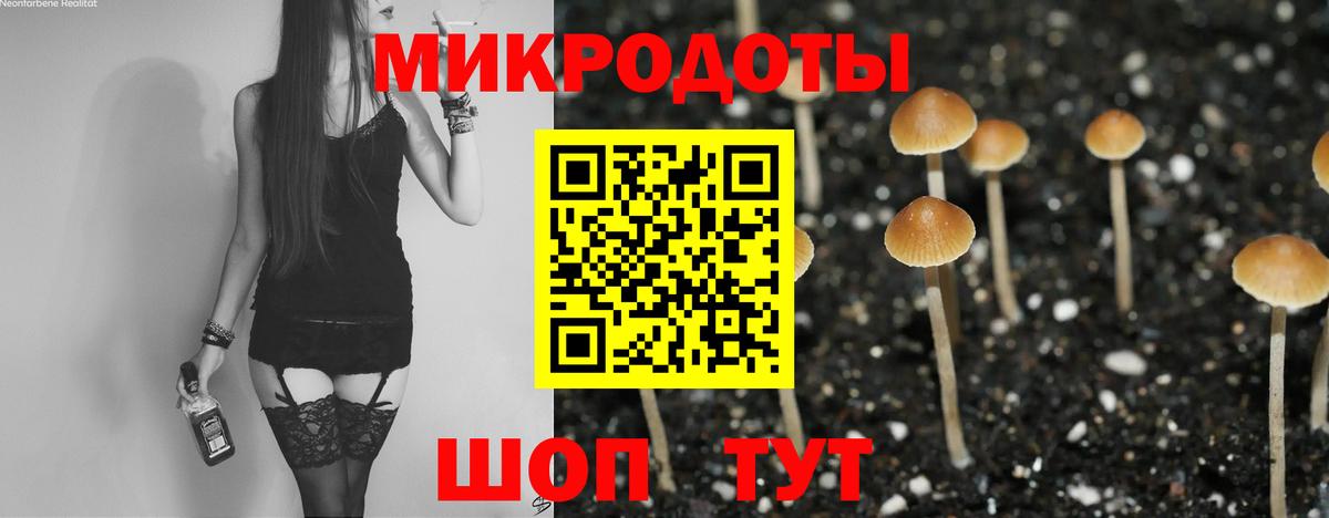 Снежинск  Галлюциногенные грибы Psilocybe  Вход с VPN 